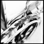 Haïku d’amérique