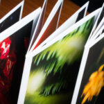 one dollar photozine